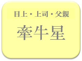 クマ子,占い,算命学