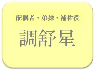 中島健人,占い,算命学