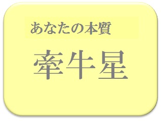 クマ子,占い,算命学