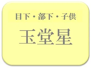 中島健人,占い,算命学